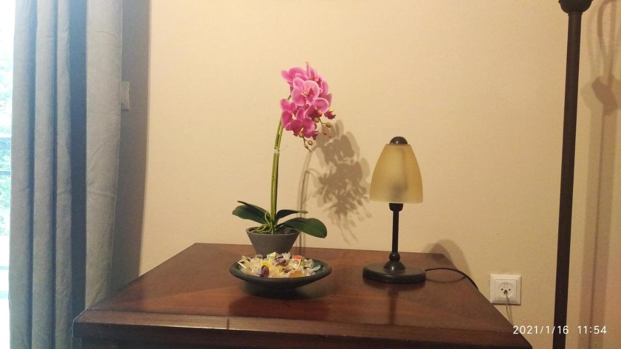 Miriam Luxury Apartment 扎金索斯镇 外观 照片